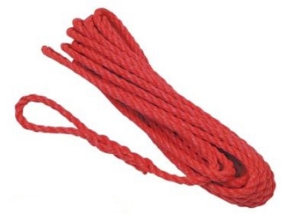 Afbeelding - 6007501-jpg